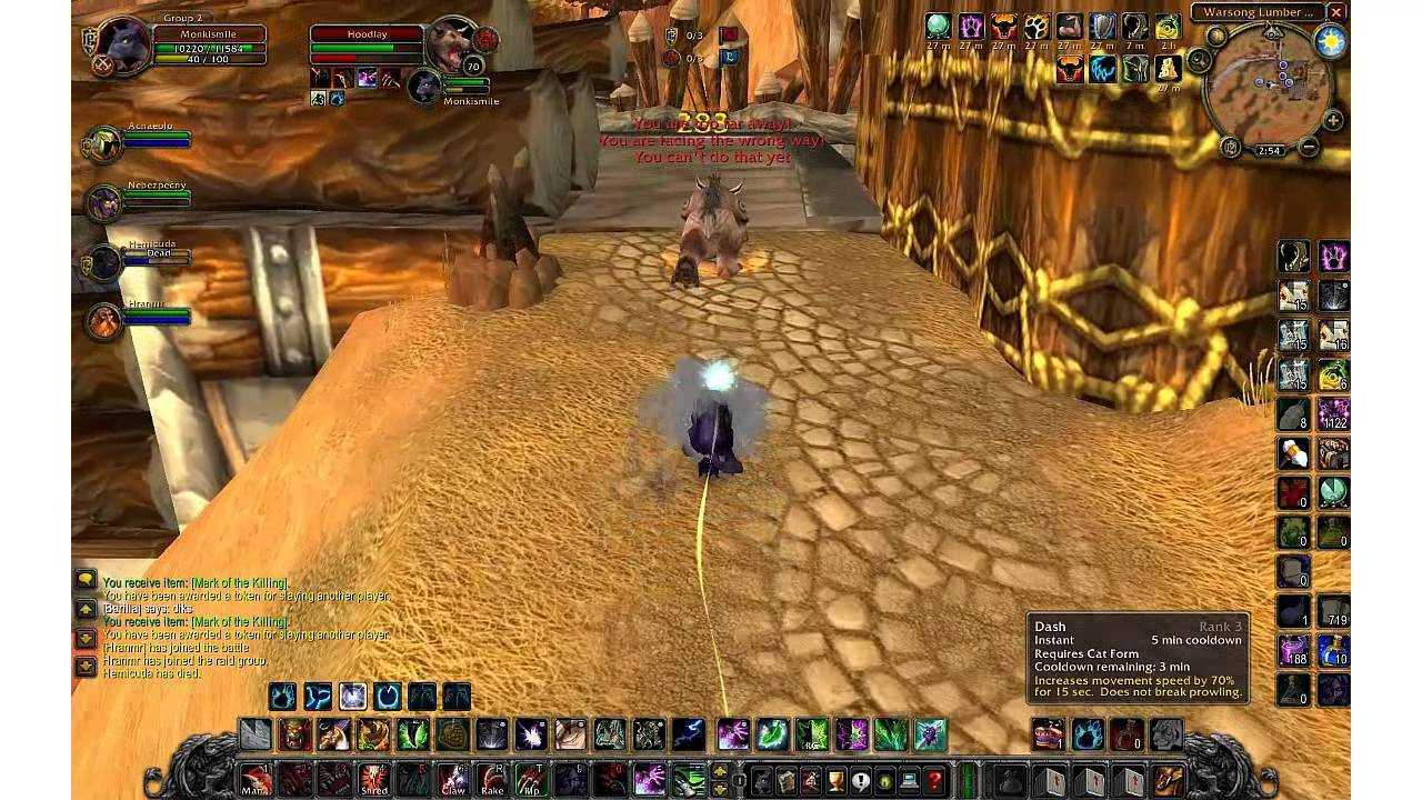 Wow tbc druid leveling guide - epiccarry