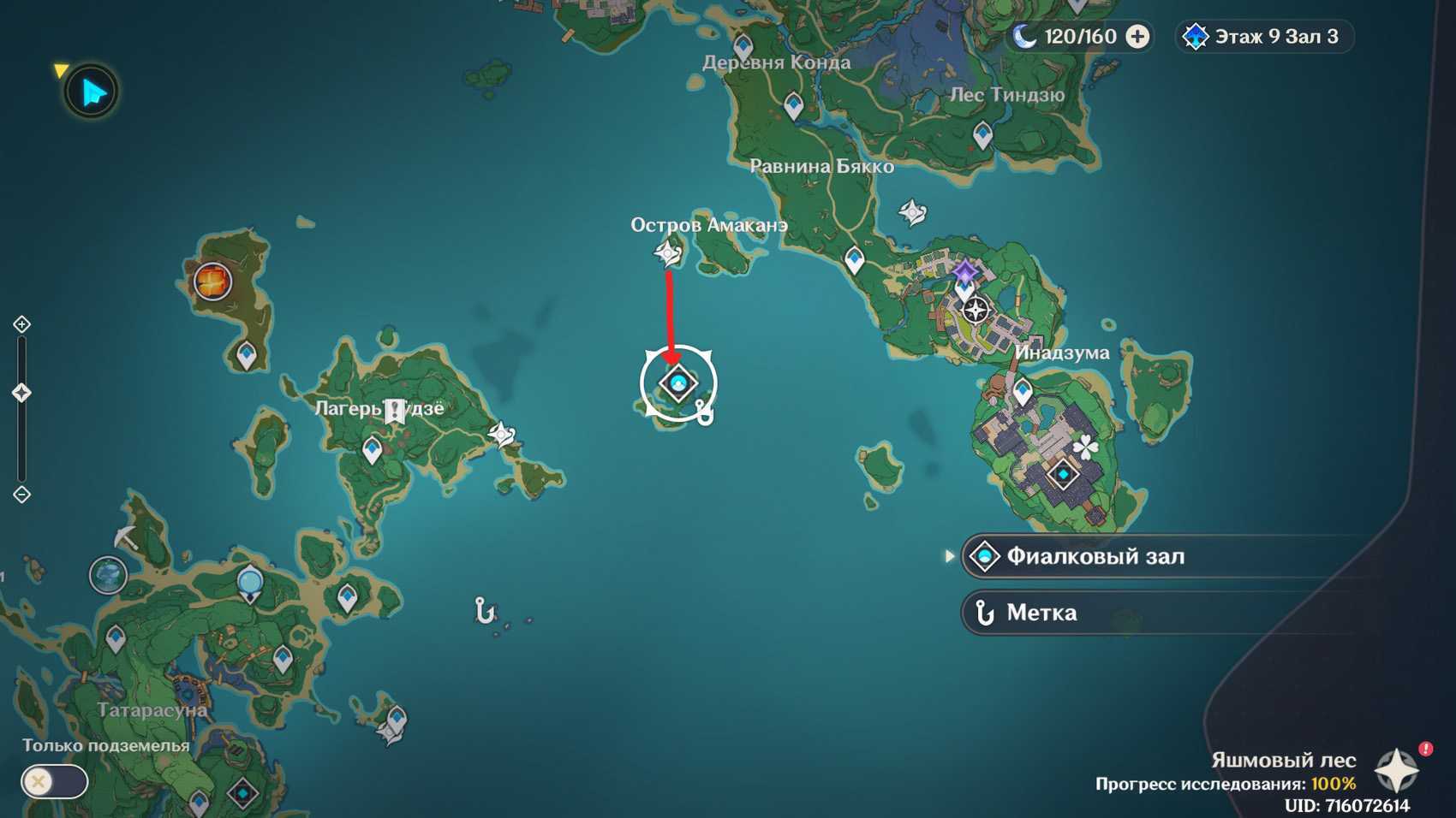 Все 7 роскошных сундуков на острове наруками - genshin impact - гайды и прохождение